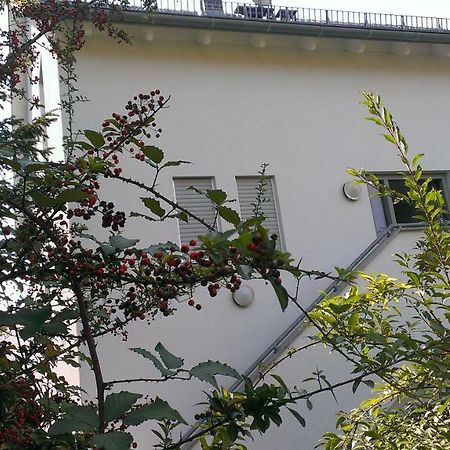 Appartement Petite Bellevue II à Baden-Baden Extérieur photo