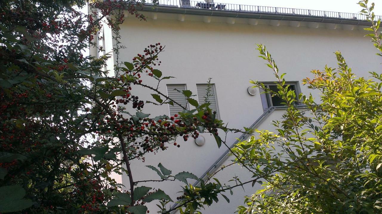 Appartement Petite Bellevue II à Baden-Baden Extérieur photo